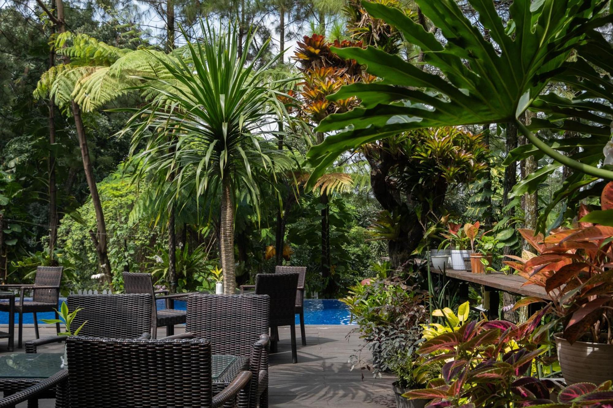 House Sangkuriang Hotel Bandung Ngoại thất bức ảnh